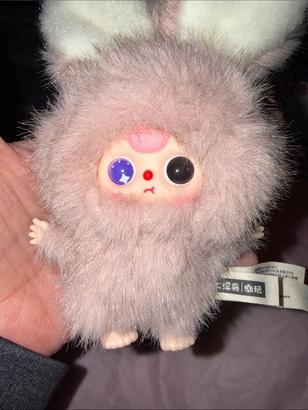 Baby Three Super Mini Bunny CONFIRMED O SPECIAL EYES! - Picture 8 of 13